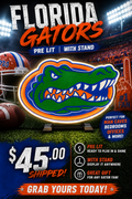 Florida Gators Light box!