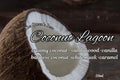Queens Bear - Coconut Lagoon