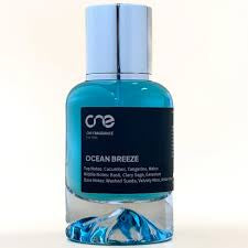 CN1 - Ocean Breeze - inspired by Ralph Lauren's POLO BLUE